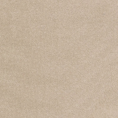Furlong Flooring Trident Plains Luxury Twist Carpet (Cicogna, 4M X 4M) - image 1