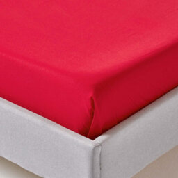 Homescapes Red Egyptian Cotton Flat Sheet 200 Tc, Double - thumbnail 3