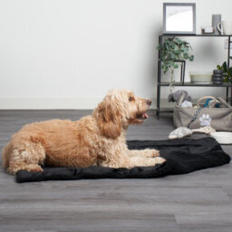 Ohs Sherpa Pet Soft Animal Throw Over Blanket, Black - 75 X 110Cm