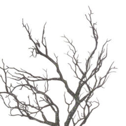 Hill Interiors Large Branch Spray Artificial Plant (Single Stem) - Plastic - L45 X W45 X H93 Cm - thumbnail 3