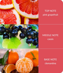 Heart and Home Heart & Home Pink Grapefruit & Cassis Twin Wick Ellipse Soy Candle - 40 Hours Burn - thumbnail 4