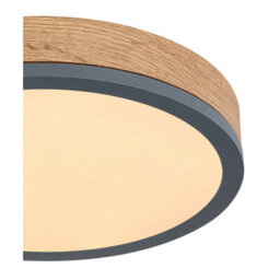 Luminosa Lighting Luminosa Doro 30Cm Flush Ceiling Light Graphite Led 3000K - thumbnail 4