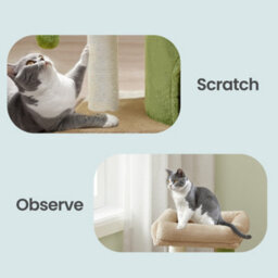 Feandrea Cat Condo With Sisal Scratching Post, Bed, Green And Brown - thumbnail 8