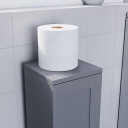 Hayle Matt Grey Freestanding Toilet Roll Holder Cupboard (H)650mm (W)200mm - thumbnail 5