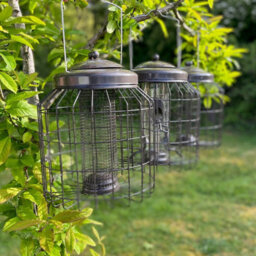 Selections Deluxe Heavy Duty Squirrel Proof Hanging Nut, Seed & Fat Ball Bird Feeders (Set Of 3) - thumbnail 3