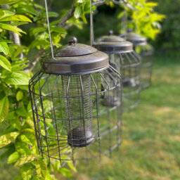 Selections Deluxe Heavy Duty Squirrel Proof Hanging Nut, Seed & Fat Ball Bird Feeders (Set Of 3) - thumbnail 2