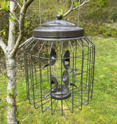 Selections Deluxe Heavy Duty Squirrel Proof Hanging Nut, Seed & Fat Ball Bird Feeders (Set Of 3) - thumbnail 4