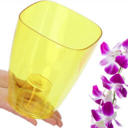 B2C Plant Orchid Pot Plastic  Gloss Oval Planter 12 Cm Yellow Transparent Square