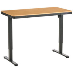 Beliani Electric Adjustable Standing Desk Penly 120 Cm 60 Cm With Usb Port Black/ Light Brown