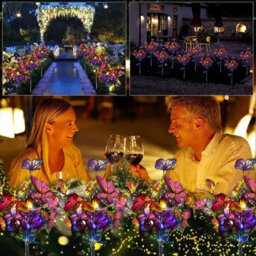 2Pcs Solar Butterfly Flower Garden Lights , Led Outdoor Stake Lights For Pathway And Garden Décor - thumbnail 7