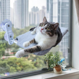 Xample Cat Window Bed, Cordless Folding Cat Window Perch, Cat Window Hammock Wall With 4 Suction Cups, Sturdy Setal(Medium (30 X 45Cm) - thumbnail 2