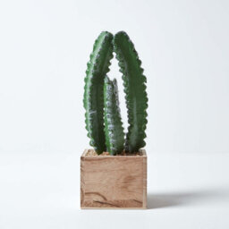 Homescapes Artificial Green Handcrafted Cactus Plant In Wooden Pot, 33 Cm - thumbnail 6