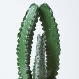 Homescapes Artificial Green Handcrafted Cactus Plant In Wooden Pot, 33 Cm - thumbnail 5