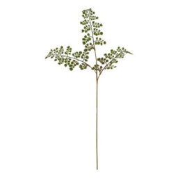 Hill Interiors The Natural Garden Collection Maidenhair Fern Artificial Flower Green (One Size) - thumbnail 1