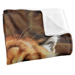 Jq Licensing Jlo Silky Tiger Supersoft Blanket Multicoloured (One Size) - thumbnail 3