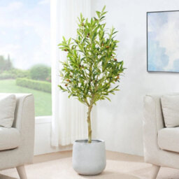Artificial Olive Tree W/plastic Planter And Artificial Moss For House Office 120 Cm - thumbnail 1