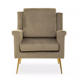 Orsina Mink Velvet Armchair For Livingroom, Modern Sturdy Chair, Velvet Upholstered Accent Chair For Reading Book - thumbnail 1