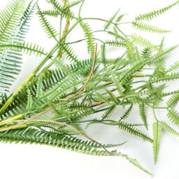 Leaf 180Cm Artificial Hanging Trailing Fern Garland Plant - thumbnail 3