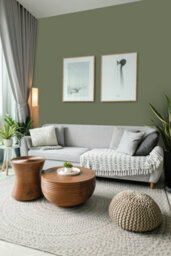 Johnstone's Trade Vinyl Silk Walls & Ceilings Emulsion Paint Pine Garland (Ppg1126-6) 5L - thumbnail 4