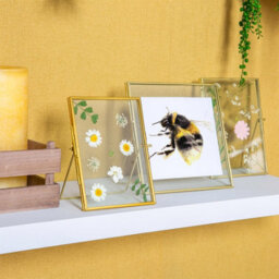 "Nicola Spring Standing Metal Photo Frames - 5"" X 7"" - Gold - Picture Frame Freestanding Frame Display Poster Frame - Set Of 5" - thumbnail 4
