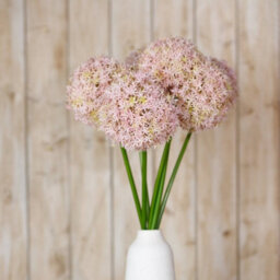 Wyld Haus Set Of 3 Artificial Lilac Medium Allium Stems, 800mm Decorative Silk Flowers - thumbnail 4