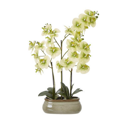 Hill Interiors Ceramic Orchid Artificial Potted Plant Green (73Cm X 9Cm X 52Cm) - image 1