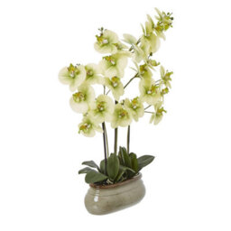 Hill Interiors Ceramic Orchid Artificial Potted Plant Green (73Cm X 9Cm X 52Cm) - thumbnail 2