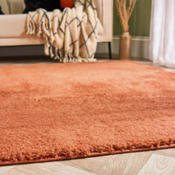 OHS Fluffy Teddy Rug Soft Rugs Bedroom Carpet Area Mat - thumbnail 2