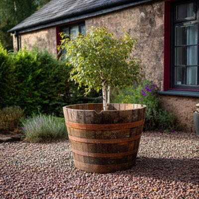 Woven Wood 90Cm Giant Half Barrel Oak Tree Planter