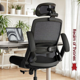 Realm Of Thrones Adjustable Ergonomic Mesh Office Chair With 3D Headrest 2D Armrests Lumbar Support For Home Gaming Desk Chair - thumbnail 2