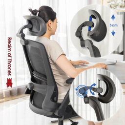 Realm Of Thrones Adjustable Ergonomic Mesh Office Chair With 3D Headrest 2D Armrests Lumbar Support For Home Gaming Desk Chair - thumbnail 5