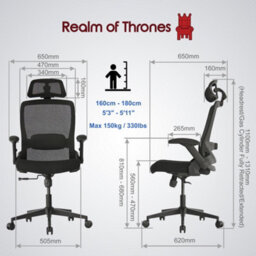 Realm Of Thrones Adjustable Ergonomic Mesh Office Chair With 3D Headrest 2D Armrests Lumbar Support For Home Gaming Desk Chair - thumbnail 9