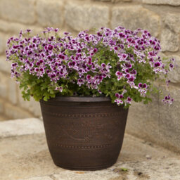 You Garden - Pair Of Copper-Coloured, Acorn Planters Round 25Cm (10In) - thumbnail 3
