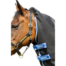 "Stormx Empra Extra Achable Neck Horse Turnout Rug Black (6 3"")" - thumbnail 4