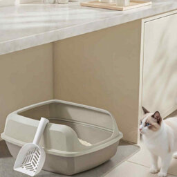High Sided Xxl Cat Litter Box, Open Litter Tray With Scoop For Kittens And Adult Cats, Cappuccino Beige