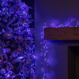 Samuel Alexander 9.3M 720 Led Christmas Cluster String Lights With Timer In Blue, Purple & White On Clear Cable - thumbnail 3