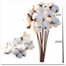 10 Natural Dried Cotton Flowers, Flower Bouquet, Cotton Branches, Artificial Dried Plants For Balcony, Home, Table, Composition - thumbnail 4