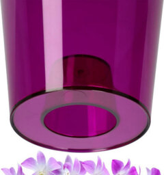 B2C Plant Orchid Pot Plastic  Gloss Oval Planter 12 Cm Purple Transparent - thumbnail 3