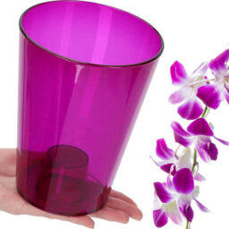 B2C Plant Orchid Pot Plastic  Gloss Oval Planter 12 Cm Purple Transparent