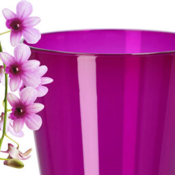 B2C Plant Orchid Pot Plastic  Gloss Oval Planter 12 Cm Purple Transparent - thumbnail 2