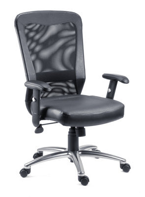 Teknik Breeze Mesh Executive Chair With Bonded Leather Seat - image 1