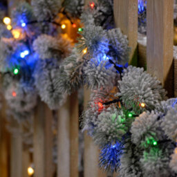 Festive Indoor & Outdoor 5Ft Christmas Tree Lights 520 Multicoloured Leds - thumbnail 4