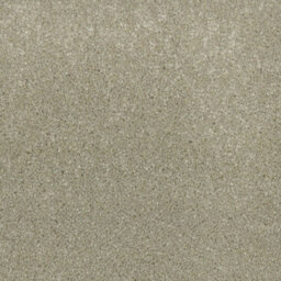 Banquet Stripes And Plains Bleach Cleanable Carpet By Remland (Fennel, 1M X 4M) - thumbnail 1