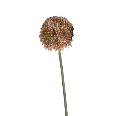 Hill Interiors Faux Allium Spray Pink/green (63Cm) - image 1