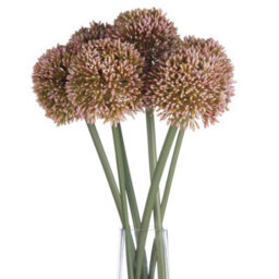 Hill Interiors Faux Allium Spray Pink/green (63Cm) - thumbnail 2