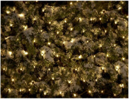 Premier Decorations Limited Warm White Christmas Window Net Lights 180 Led 1.7M X 1.2M Multi Action Leds - thumbnail 4