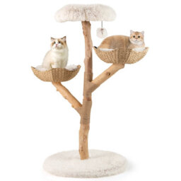 Costway Cat Tree 122 Cm Tall Real Wood Branch Kitten Tower W/ Flower Perch - thumbnail 2