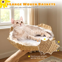 Costway Cat Tree 122 Cm Tall Real Wood Branch Kitten Tower W/ Flower Perch - thumbnail 6