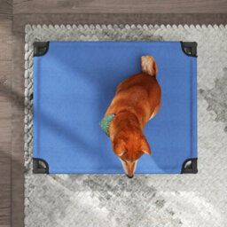 Pawhut Elevated Pet Bed Cool Cot Dog Sleep Folding Indoor Outdoor Camping 76Lcm - thumbnail 9