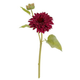 Hill Interiors Dahlia Burgundy Raven Stem Artificial Flower - Plastic - H47 Cm - Green